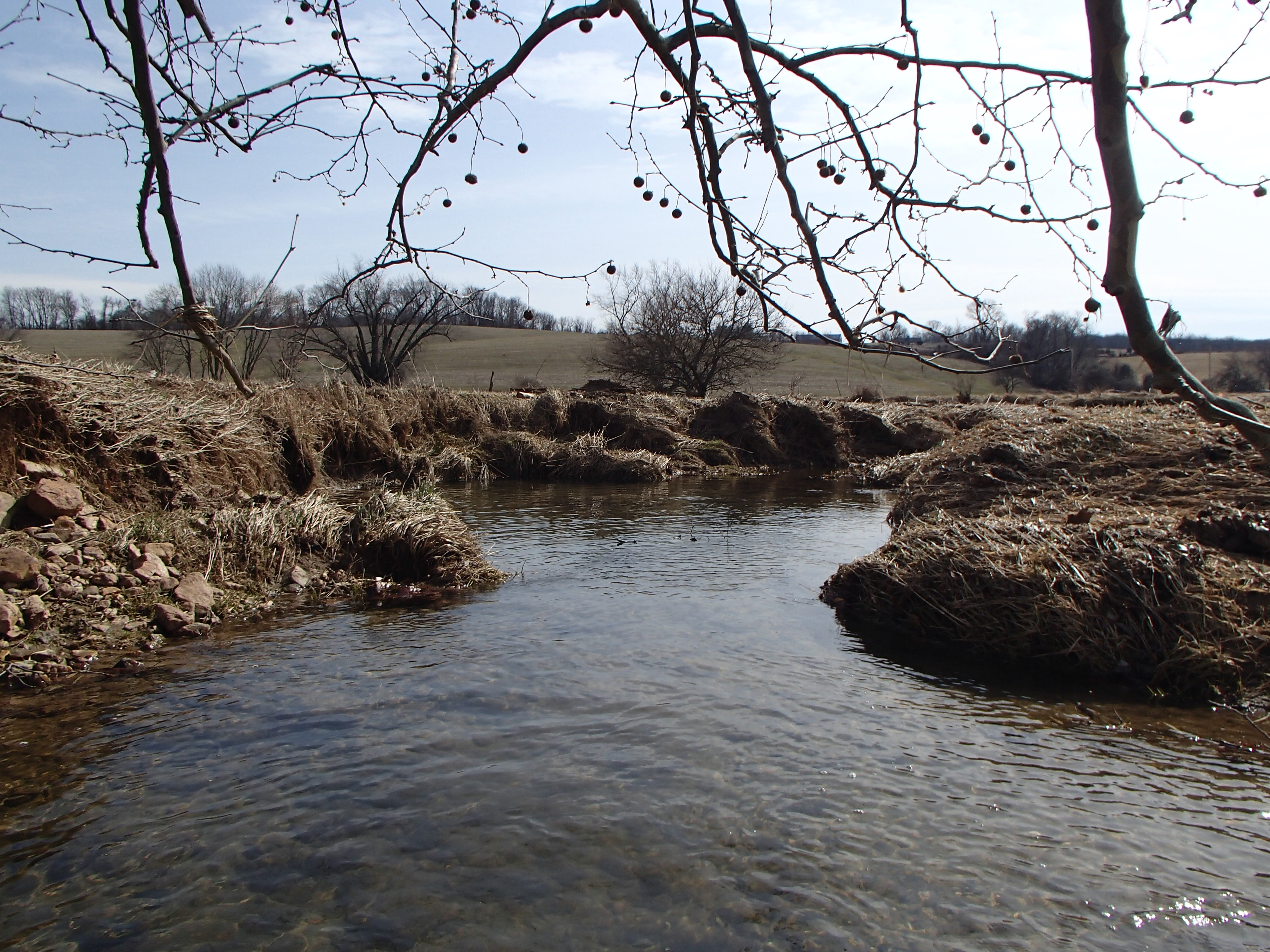 Field photo showing stream conditions at site SBPA-207-X-2016_midpoint looking downstream
